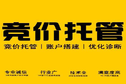 某企业SEM运营的A/B测试与效果优化